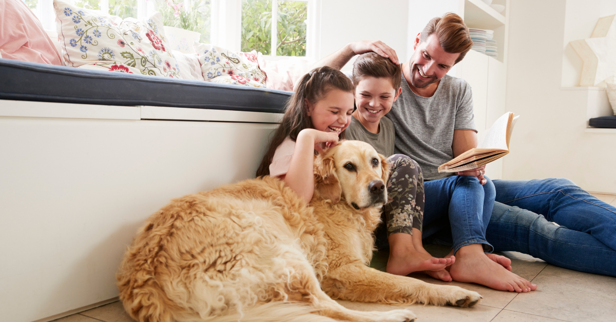 family and pets pest-free at home
